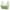 Green, variant on Summer Savings Clearance 2025! TAGOLD Womens Plus Size Bra Clearance,Summer Casual Bras for Womens,Woman's Embroidered Glossy Comfortable Breathable Bra Underwear No Rims