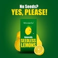 thumbnail image 2 of Fresh Seedless Lemons, 1 lb Bag, 2 of 7