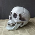 thumbnail image 2 of Halloween  Artificial Skull Head Model Skull Bone Scary Horror Skeleton Ornament, 2 of 5