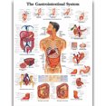 thumbnail image 1 of Art sur Toile Anatomie Humaine HD - Flanelle Remasterisée Anime, en Stock, 14+, CE, 1 of 9