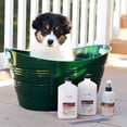 thumbnail image 4 of Isle of Dogs Everyday Jasmine & Vanilla Silky Coating Shampoo for Dogs, 4 of 8