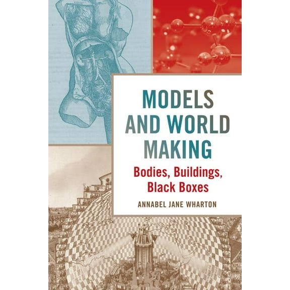 Models and World Making : Bodies, Buildings, Black Boxes (Paperback)