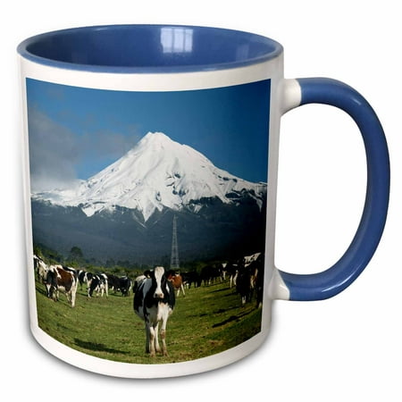 3dRose Dairy Cows, Farm animals, Taranaki, New Zealand-AU02 DWA4997 - David Wall - Two Tone Blue Mug,