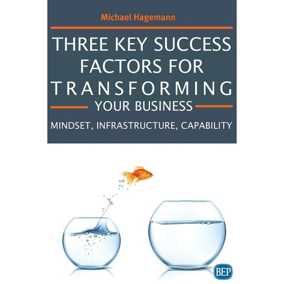 Three Key Success Factors for Transforming Your Business: Mindset, Infrastructure, Capability (Paperback)
