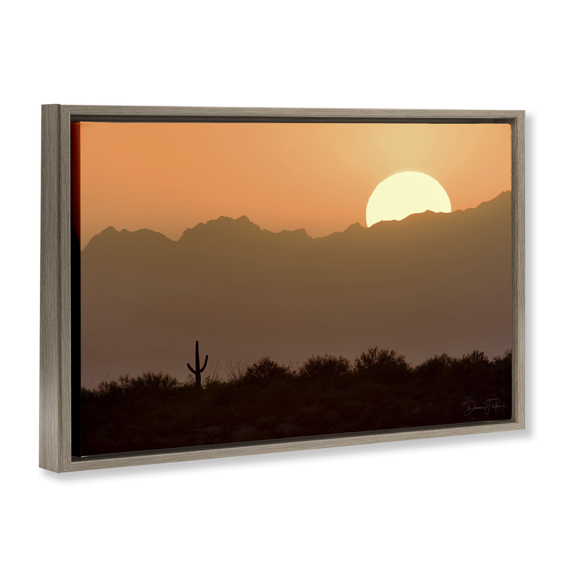 Stupell Industries Sunlit Desert Cactus Landscape & Nature Photography Brown Floater Framed Canvas Art Print Wall Art, 31 x 21