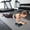 Black, Blue, variant on 330lbs 4 Wheel Ab Roller with Elbow Support, Core Slider for Home Gym Ab Workout