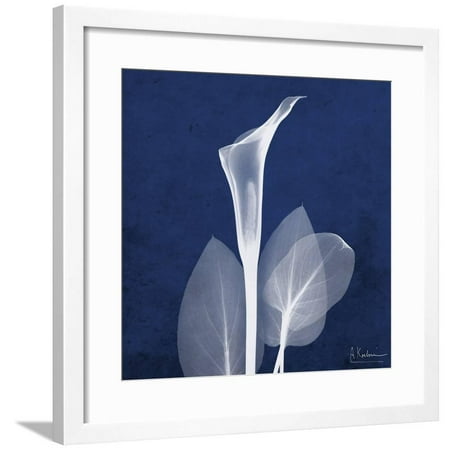 One Indigo Calla Lily Framed Print Wall Art By Albert Koetsier