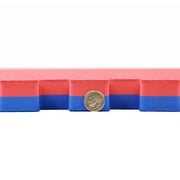 FlooringInc 1 Thick MMA Red & Blue Reversable Interlocking Foam Tiles, 2x2, 4 sqft, 1 Tile Pack
