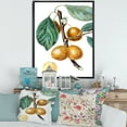 thumbnail image 2 of Designart 'Ancient Fruits II' Farmhouse Framed Canvas Wall Art Print, 2 of 5