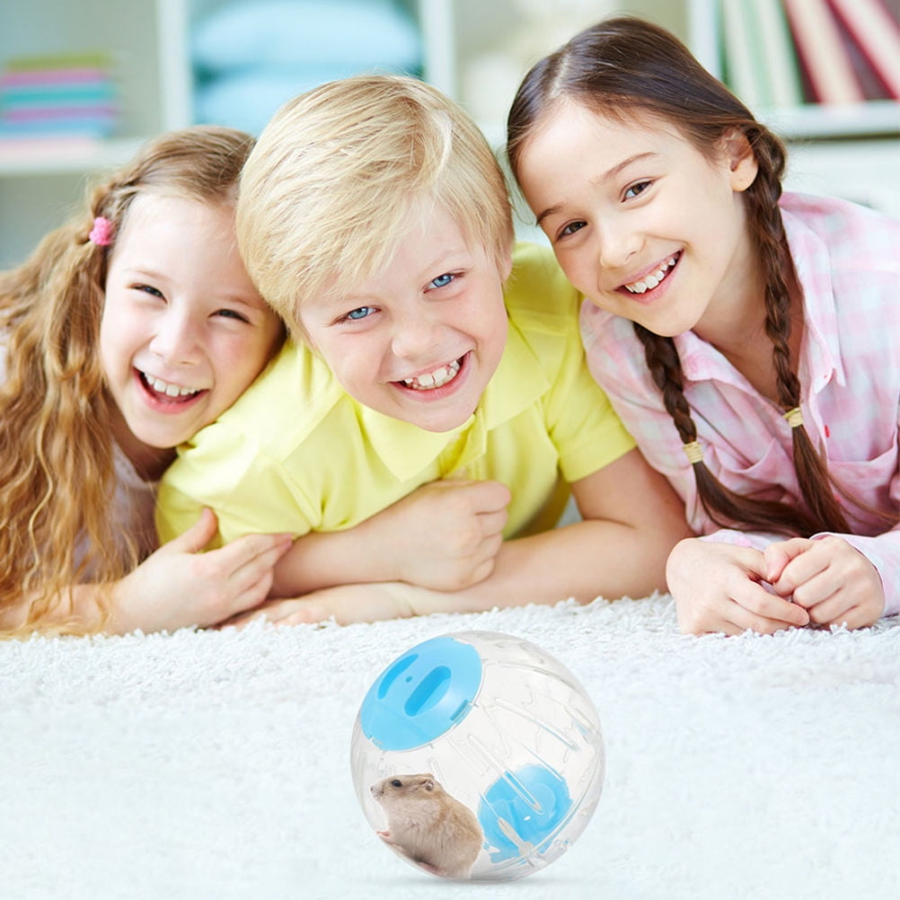 OFFIGAM Clear Sky-Blue Pc Hamster Ball Promotes and Exercise for Small Pets