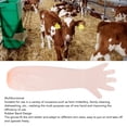thumbnail image 3 of Guantes Veterinarios, Amplia Aplicación EVA, No Tóxicos, Seguros, 50 Unidades, Diseño De Banda De Goma Desechable Para Palpación De Vaca Para Lavavajillas, 3 of 8
