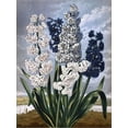 thumbnail image 2 of Art.com Hyacinths Stretched Canvas Print Wall Art, 18" x 24", 2 of 4