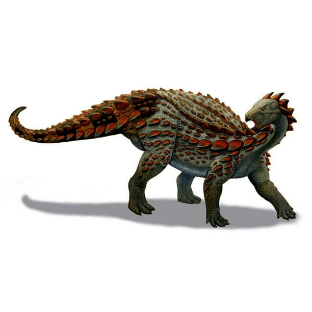 Scelidosaurus dinosaur of the Early Jurassic Period Poster Print by H. Kyoht Luterman/Stocktrek