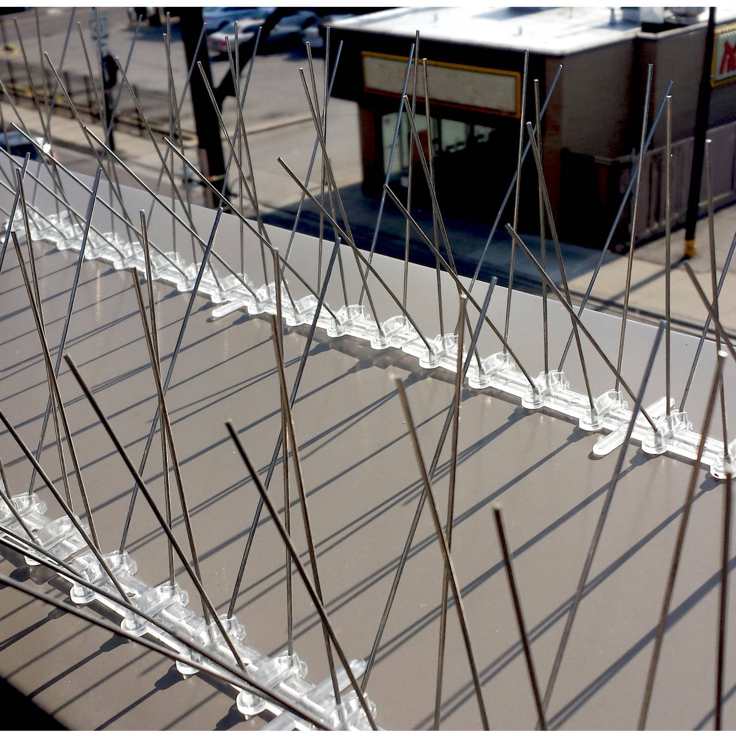 BIRD-X INC Stainless Steel Bird Spikes, 50 Feet, 6 Inches Wide, Permanent Bird Deterrent