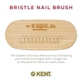 thumbnail image 3 of Cepillo de uñas Kent NB3 Natural Bristle Beechwood 10x4x3 cm, 3 of 8