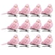 thumbnail image 1 of Paquete de 12 Pájaros Artificiales en Clips perfecl color Rosado, 1 of 7