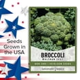 thumbnail image 5 of Waltham 29 Broccoli Seeds, 5 of 7