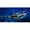 thumbnail image 2 of Highsmith, Carol 24x14 White Modern Wood Framed Museum Art Print Titled - Whale Shark, 2 of 4