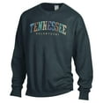 thumbnail image 2 of Unisex ComfortWash Gray Tennessee Volunteers Oversized Pullover Sweatshirt, 2 of 3
