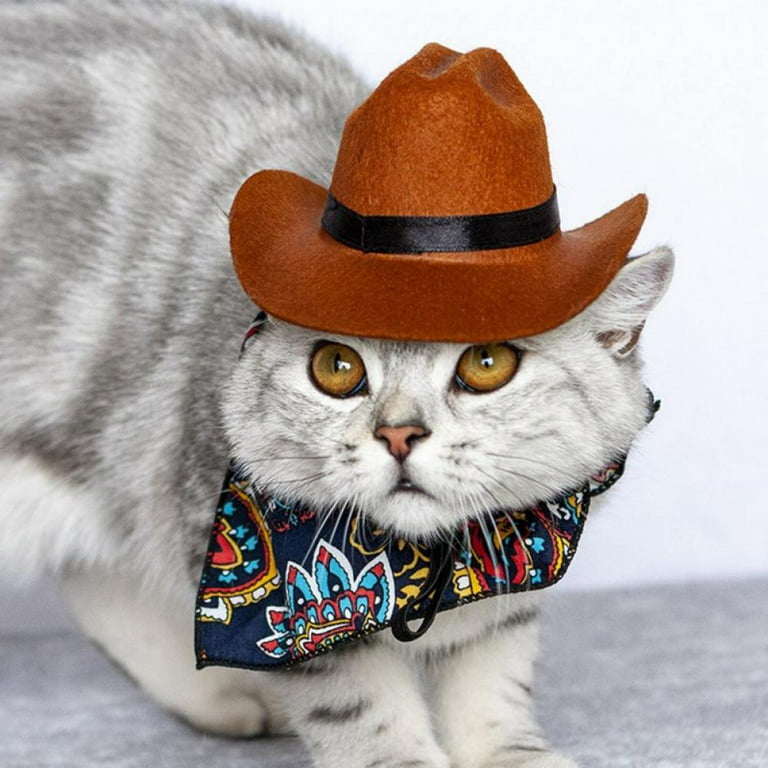 Novobey Cowboy Hat for Cat, Cat Costumes Cowboy Hat, Dog Cap For Street  Party Halloween Christmas Pet Accessories 