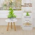 thumbnail image 7 of Bamworld Indoor Plant Stand Wood Modern Small Round Side Plant Table for Indoor Plants, 8.7" Tall Plant Holder for Flower Pots End Table (White), 7 of 7