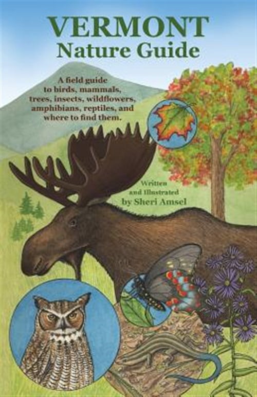 Pre-Owned Vermont Nature Guide: A field guide to birds, mammals, trees, insects, wildflowers, amphibians, reptiles, and where to find them (Paperback) 1626549435 9781626549432