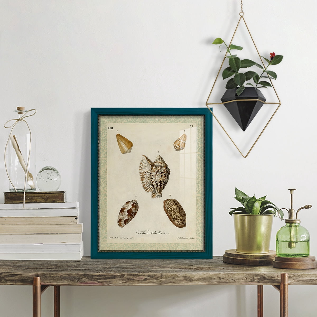 Bookplate Shells II - Framed Print w/glass - Ocean Blue
