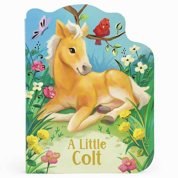 A Little Colt (Board Book)