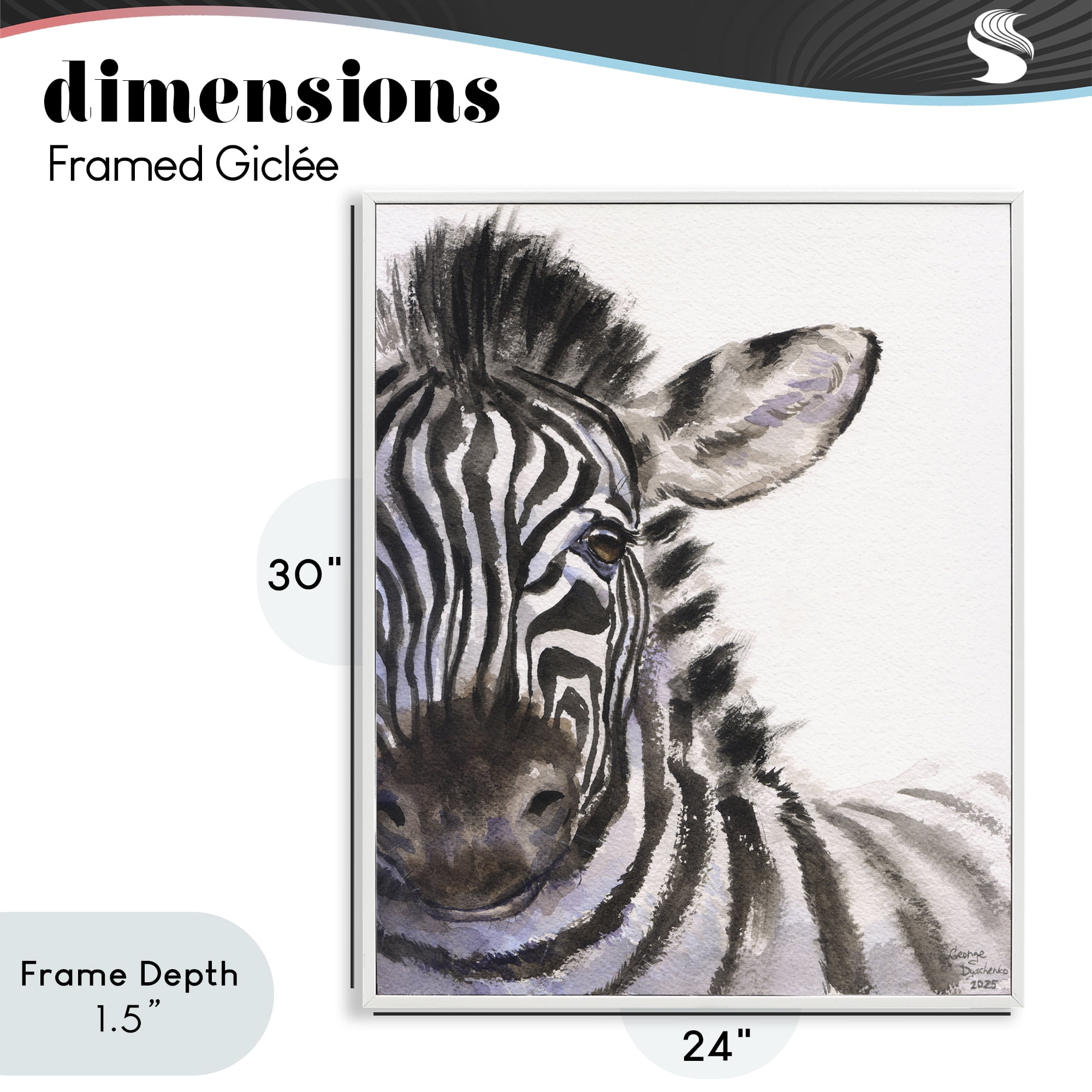 Stupell Industries Zebra Portrait on White White Framed Giclee Art, design by George Dyachenko