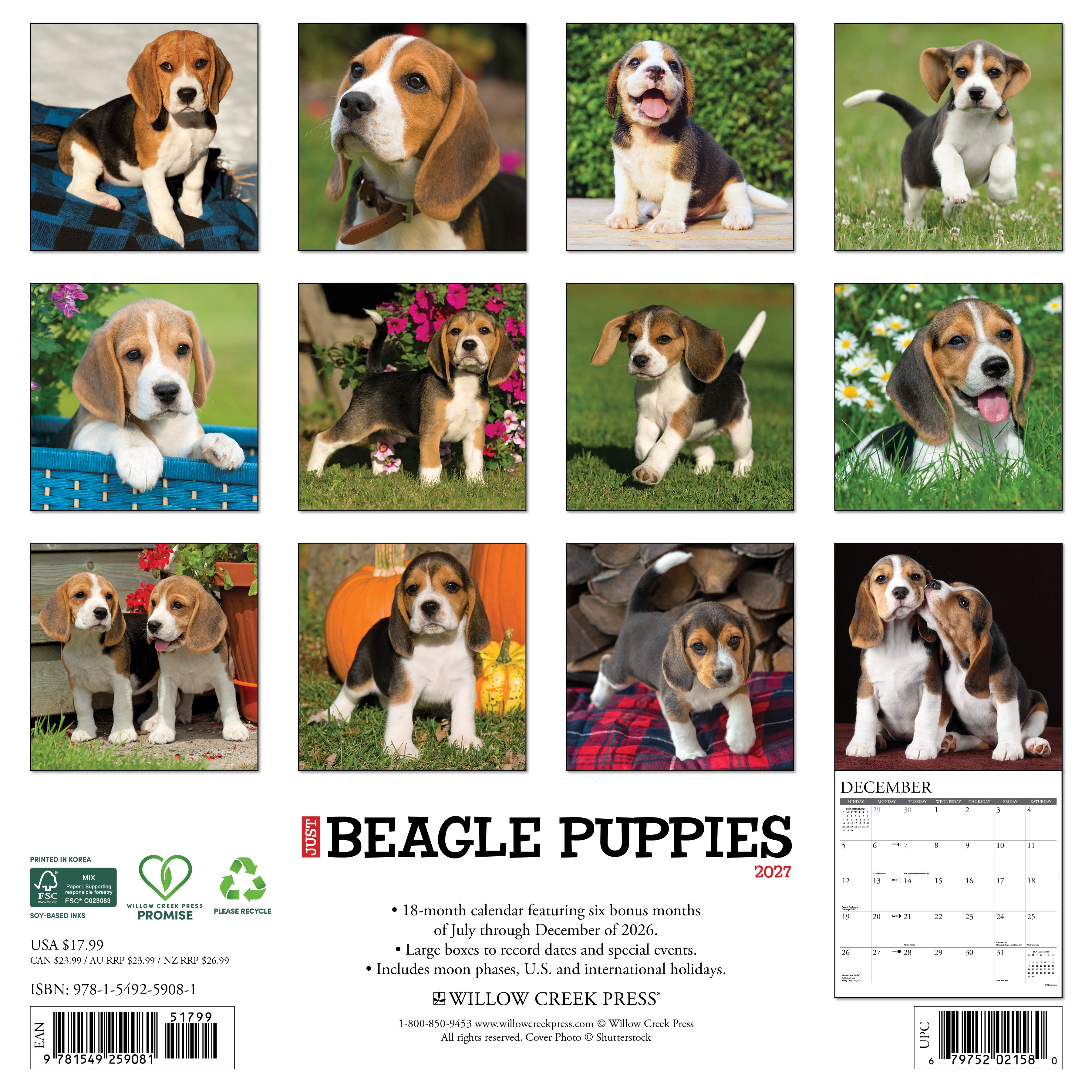 Willow Creek Press, Beagle Puppies 2027 Wall Calendar
