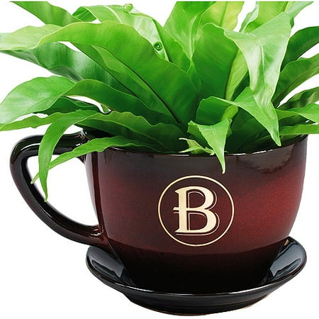 Giant Coffee Cup Planter - Walmart.com