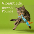 thumbnail image 4 of Vibrant Life Blue Candy-Shaped Catnip Cat Toy with Feathers, 4 of 8