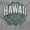 Sport Grey, variant on Hawaii HI Student Campus Pride Seal Men's Graphic T Shirt Tees Brisco Brands S