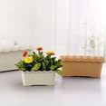 thumbnail image 4 of Rectangle Planter,12" Plastic Window Planter,Balcony Herb Planter Indoor Succulent Cactus Vegetable Pot,Wave Ruffled Edge Flower Boxes Slot Home Garden Practical Flower Pots(Brown), 4 of 4