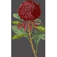 thumbnail image 2 of Vision Studio 10x14 White Modern Wood Framed Museum Art Print Titled - 30x18 Midnight Garden Varieties VIII (ASH), 2 of 4