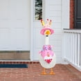 thumbnail image 5 of Birthday Party Goose Dress Suit for Outdoor Holiday - Perfectly Designed for Porch Decorations and Yard Statues, 5 of 6