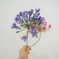 thumbnail image 3 of HEVIRGO 4PCS Artificial Flower Fresh-keeping No Watering Long-lasting Easy to Carry UV-resistant Artificial Agapanthus Flower Home Decoration ,Purple, 3 of 7