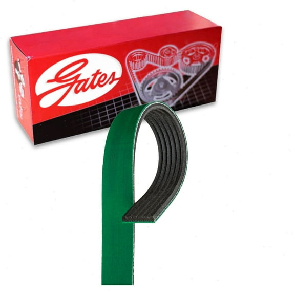 Gates FleetRunner Micro-V Serpentine Belt compatible with GMC Sierra 1500 4.8L 5.3L 6.0L V8 2001-2006