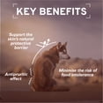 thumbnail image 5 of Forza10 Actiwet Dermo Wet Dog Food, Canned Fish Flavor, for Skin Health, 3.5 oz, 32 Case, 5 of 13