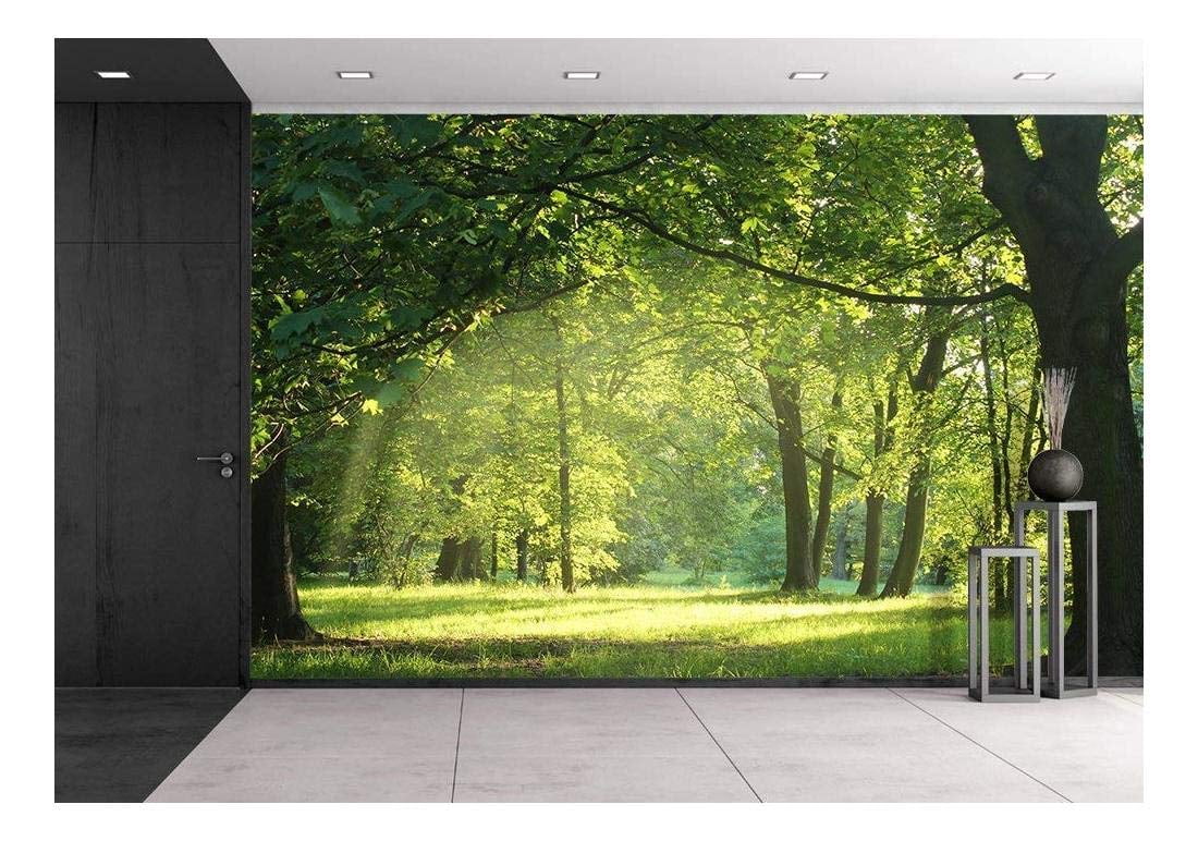Wall26 Trees in a Summer Forest Removable Wall Mural SelfAdhesive