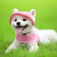thumbnail image 4 of Riforla Chapeau de Princesse pour Animaux de Compagnie Bord Rond Visière pour Chien Chapeau d'Été Extérieur Respirant Protection Solaire Chapeau pour Animaux Rouge G, 4 of 8