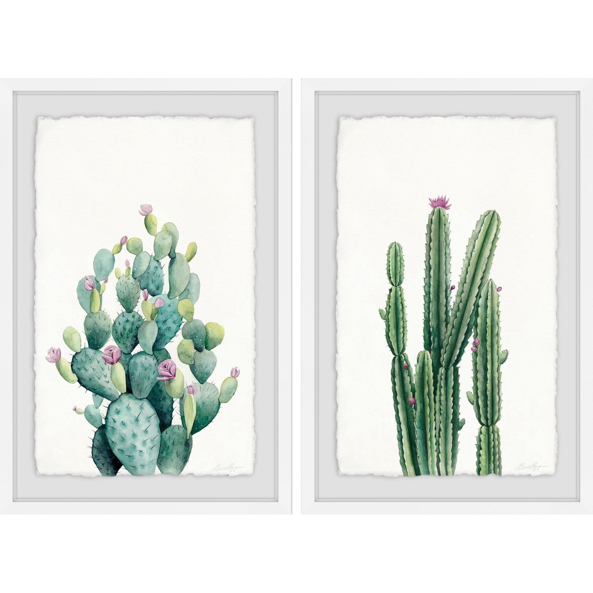Cactus Bloom V Diptych