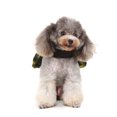 thumbnail image 4 of hirigin Pet Dog Halloween Costume, Funny Soft Indoor Outdoor Apparel for Cosplay Holiday Party, 4 of 8