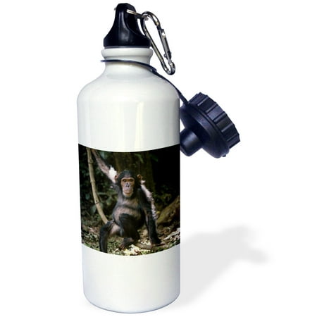 

3dRose Tanzania Chimpanzee Young Female at Gombe Stream National Park. Sports Water Bottle 21oz