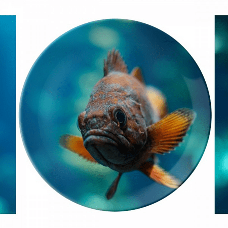 

Small Tropical Fish Marine Organism Plate Decorative Porcelain Salver Tableware Dinner Dish