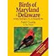 thumbnail image 3 of Birds of Maryland & Delaware Guide de Champ (Guides d'Identification des Oiseaux), 3 of 3