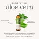 thumbnail image 3 of Benatu Gel De Aloe Vera Para Rostro Y Cabello 100% Puro Humectante Facial Natural Prensado En Frío Para Aliviar Las Quemaduras Solares Y El Cuidado De La Piel (8.8 Fl Oz), 3 of 6
