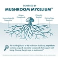 thumbnail image 5 of Host Defense CordyChi Capsules - 30 Capsules (15 Servings), 5 of 8
