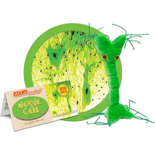 giant microbes fat cell