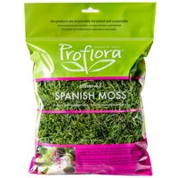 SPANISH MOSS - True Green - 4oz Bag